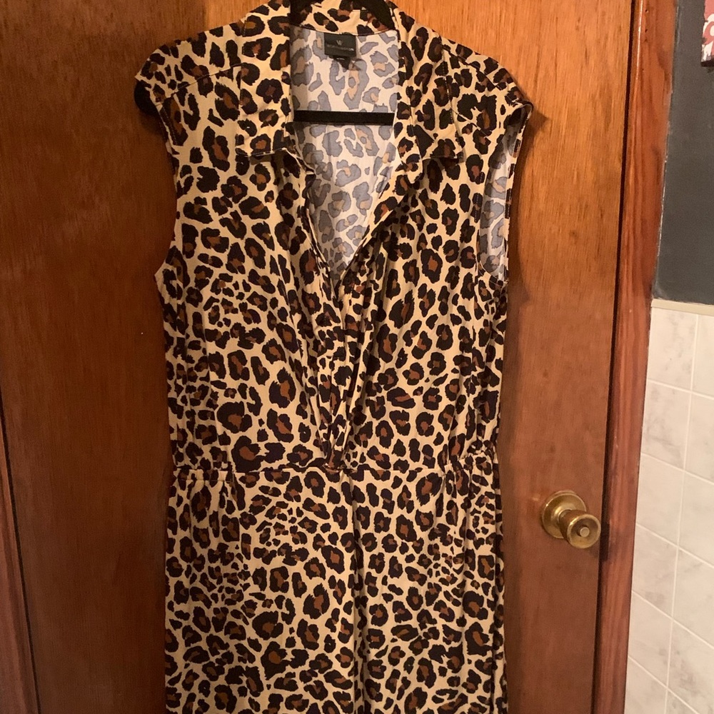 Knee Length Dress